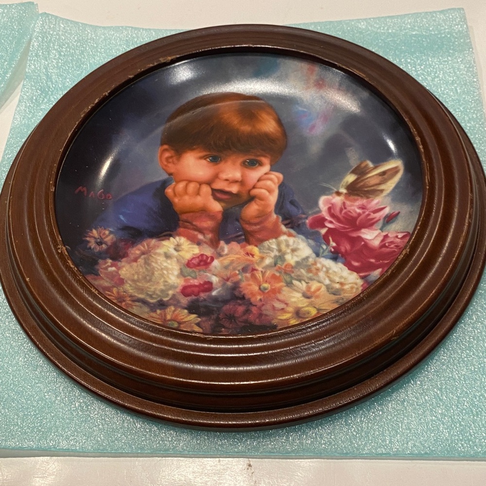 Artaffects Reflections of Youth Collectible Plate 
Andrew